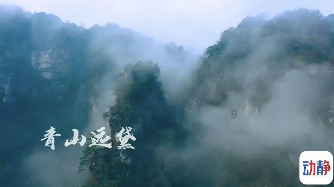 金币放置